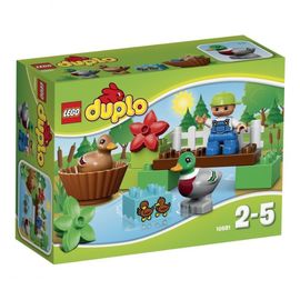 Forest: Ducks