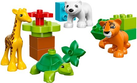 Baby Animals
