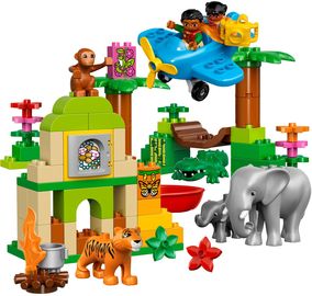 Jungle