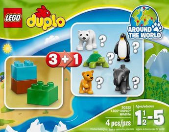 Wildlife - Polar Bear