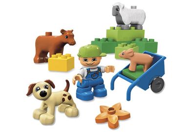 Animals