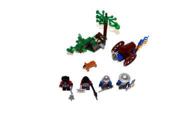 Forest Ambush