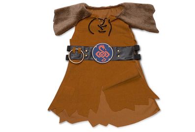 Viking Armour