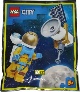 Astronaut and Satellite