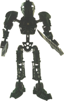 Detail: Toa Metru Matau